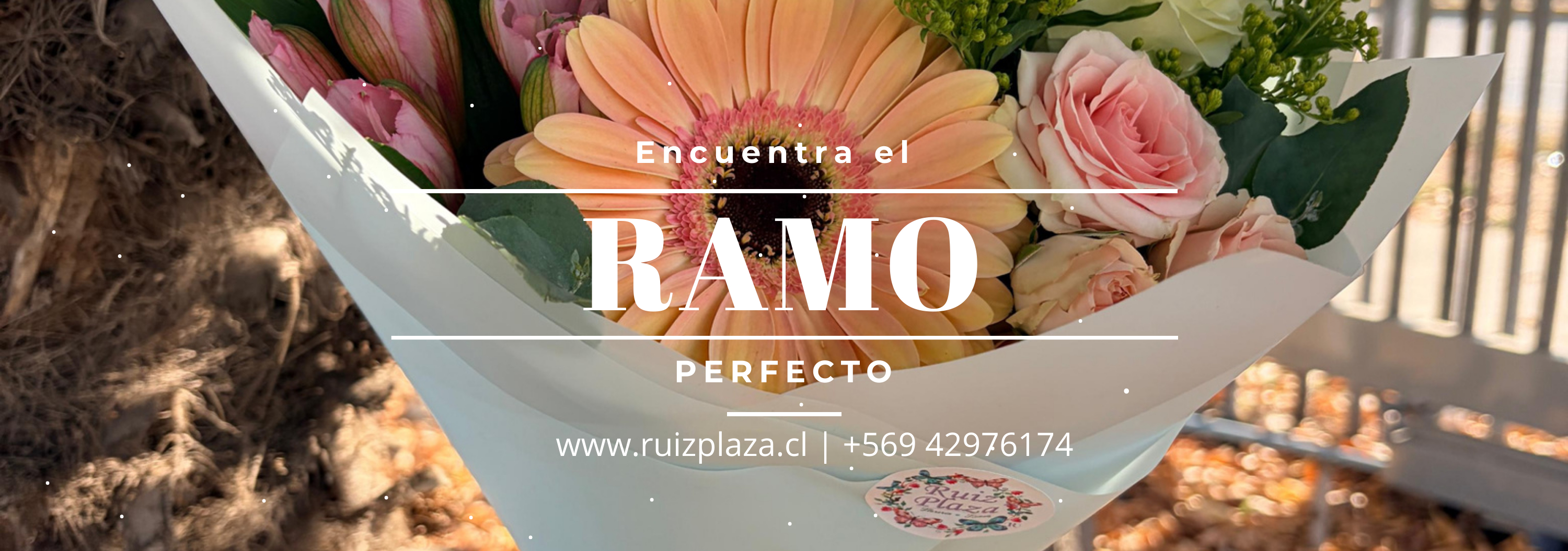 ENCUENTRA EL RAMO PERFECTO